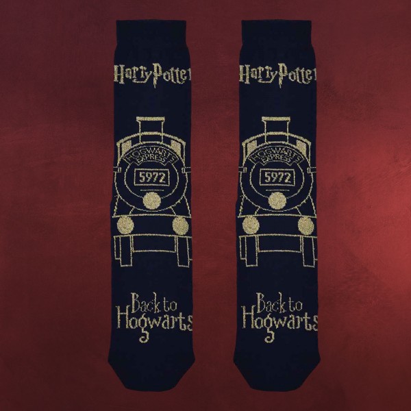 Harry Potter - Hogwarts Express Glitzer Socken