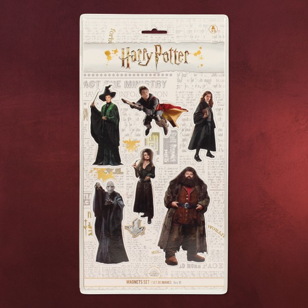 Harry Potter - Characters Magnet-Set 6-teilig