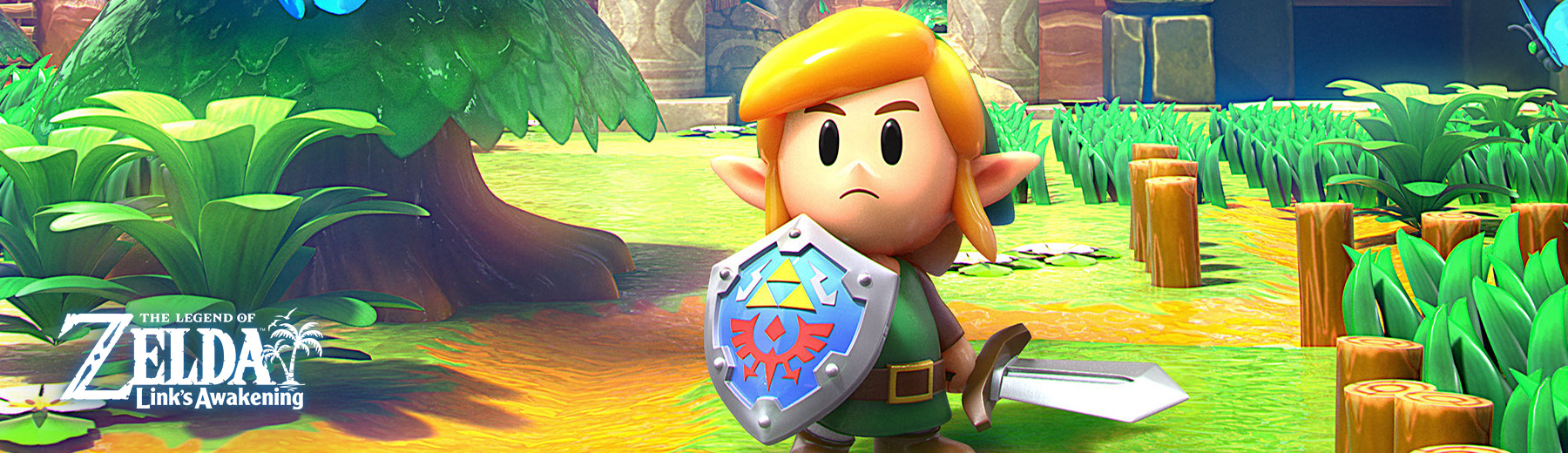 Links Awakening