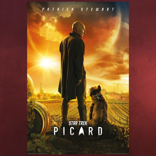 Star Trek - Picard Maxi Poster