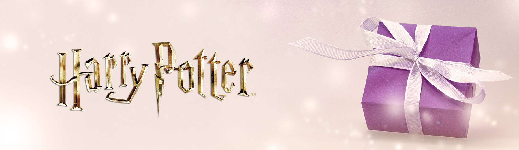 Geschenkideen für Harry Potter Fans