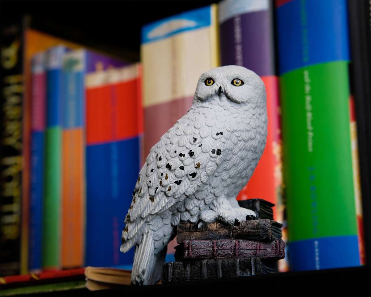 Hedwig Harry Potter Magische Tierwesen Figur Elbenwald Hedwig Harry Potter Magische Tierwesen Figur Elbenwald