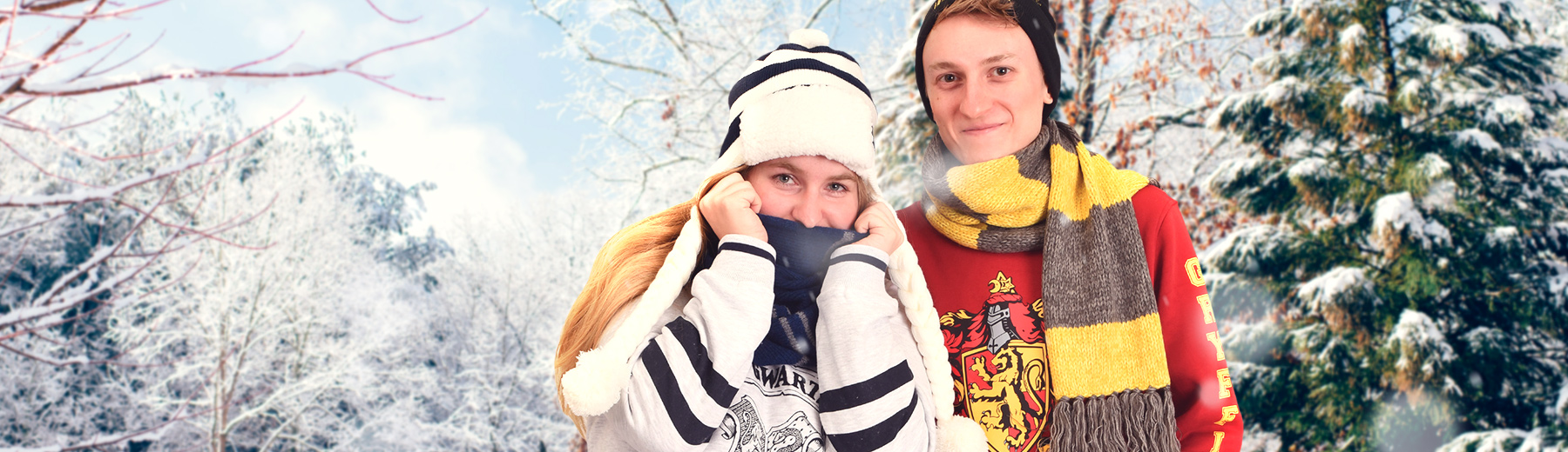 Wintermode